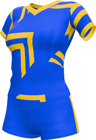 Royal blue and gold kit